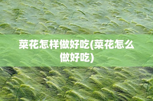 菜花怎样做好吃(菜花怎么做好吃)