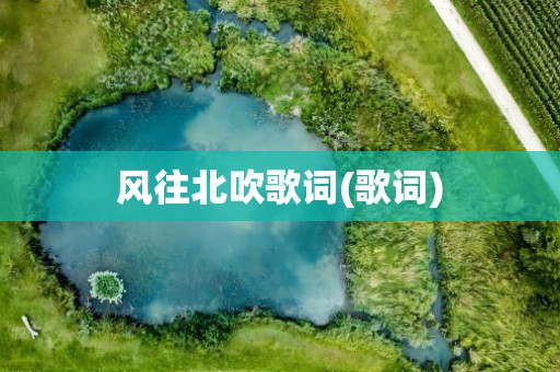 风往北吹歌词(歌词)