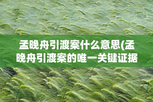 孟晚舟引渡案什么意思(孟晚舟引渡案的唯一关键证据是什么)