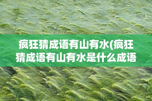 疯狂猜成语有山有水(疯狂猜成语有山有水是什么成语)