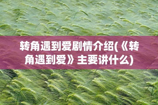 转角遇到爱剧情介绍(《转角遇到爱》主要讲什么)