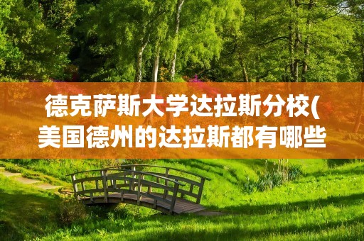 德克萨斯大学达拉斯分校(美国德州的达拉斯都有哪些大学)