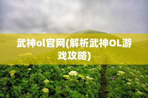 武神ol官网(解析武神OL游戏攻略)