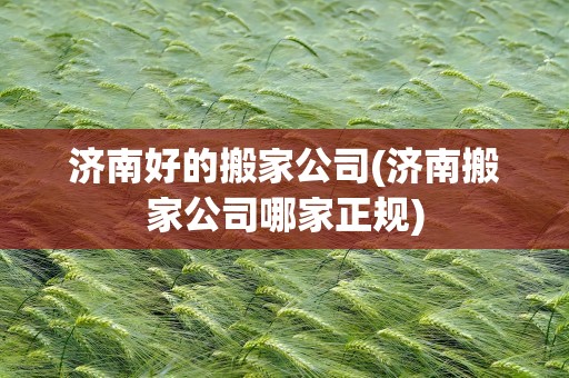 济南好的搬家公司(济南搬家公司哪家正规)