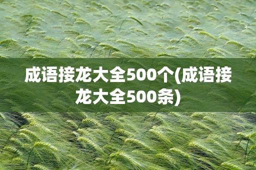 成语接龙大全500个(成语接龙大全500条)