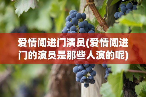 爱情闯进门演员(爱情闯进门的演员是那些人演的呢)