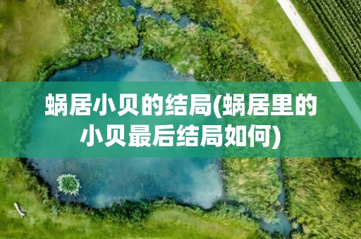 蜗居小贝的结局(蜗居里的小贝最后结局如何)