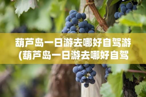 葫芦岛一日游去哪好自驾游(葫芦岛一日游去哪好自驾游五一)