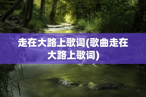 走在大路上歌词(歌曲走在大路上歌词)
