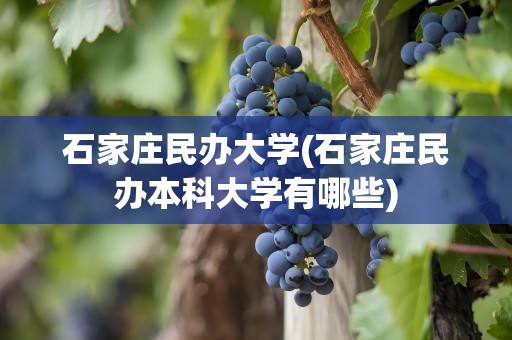 石家庄民办大学(石家庄民办本科大学有哪些)