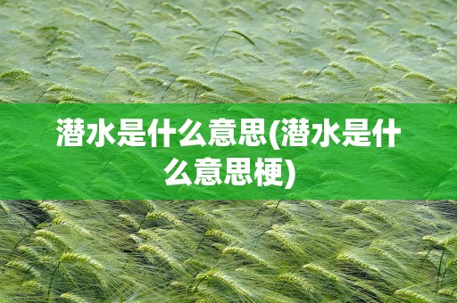 潜水是什么意思(潜水是什么意思梗)