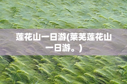 莲花山一日游(莱芜莲花山一日游。)