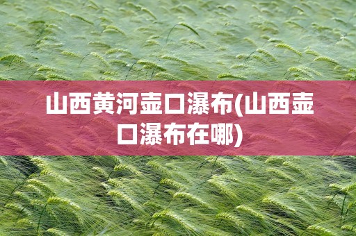山西黄河壶口瀑布(山西壶口瀑布在哪)