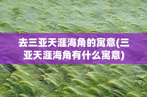 去三亚天涯海角的寓意(三亚天涯海角有什么寓意)