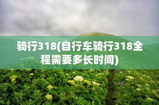 骑行318(自行车骑行318全程需要多长时间)