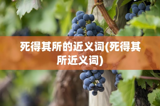 死得其所的近义词(死得其所近义词)