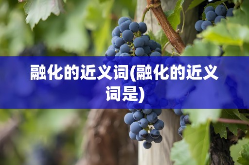 融化的近义词(融化的近义词是)