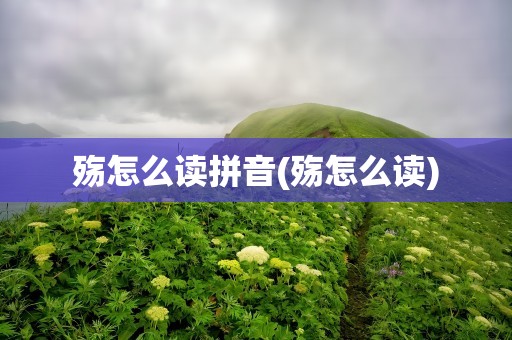 殇怎么读拼音(殇怎么读)