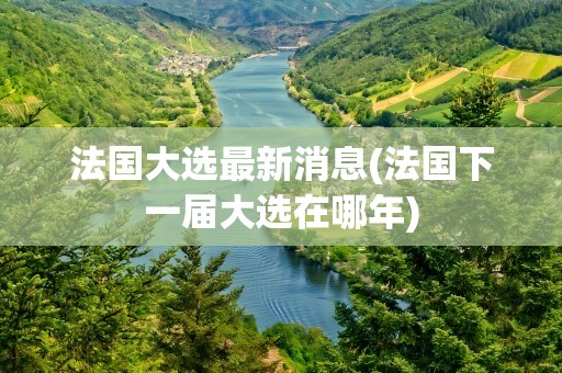 法国大选最新消息(法国下一届大选在哪年)