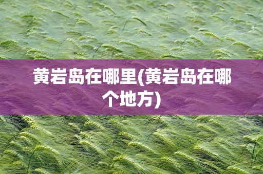 黄岩岛在哪里(黄岩岛在哪个地方)