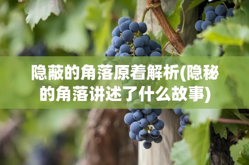 隐蔽的角落原着解析(隐秘的角落讲述了什么故事)