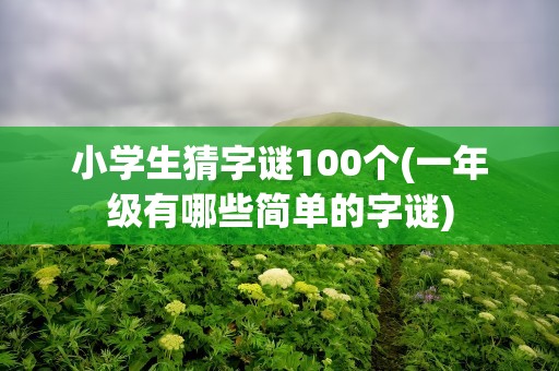 小学生猜字谜100个(一年级有哪些简单的字谜)