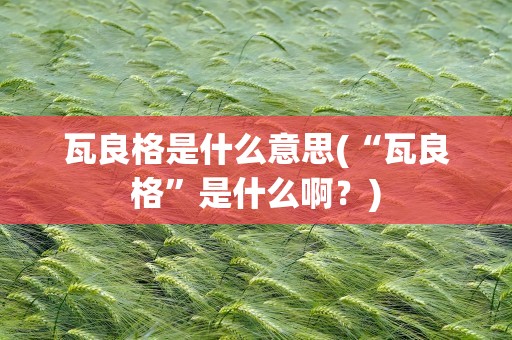 瓦良格是什么意思(“瓦良格”是什么啊﹖)
