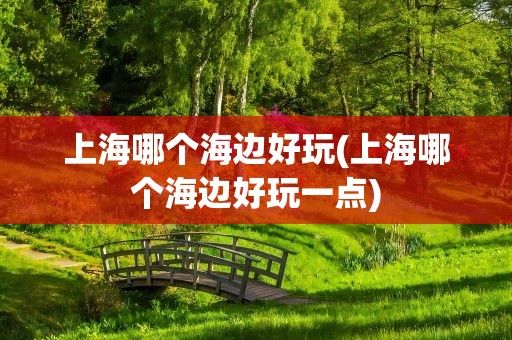上海哪个海边好玩(上海哪个海边好玩一点)