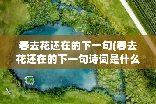 春去花还在的下一句(春去花还在的下一句诗词是什么)