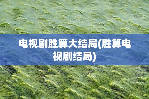 电视剧胜算大结局(胜算电视剧结局)