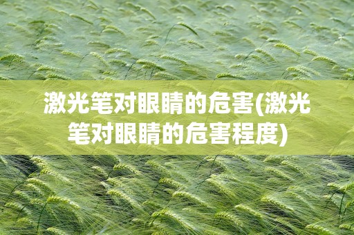 激光笔对眼睛的危害(激光笔对眼睛的危害程度)