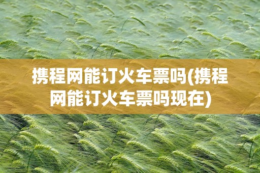 携程网能订火车票吗(携程网能订火车票吗现在)