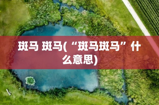 斑马 斑马(“斑马斑马”什么意思)