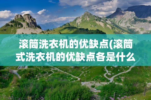 滚筒洗衣机的优缺点(滚筒式洗衣机的优缺点各是什么)