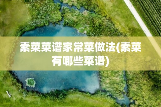 素菜菜谱家常菜做法(素菜有哪些菜谱)