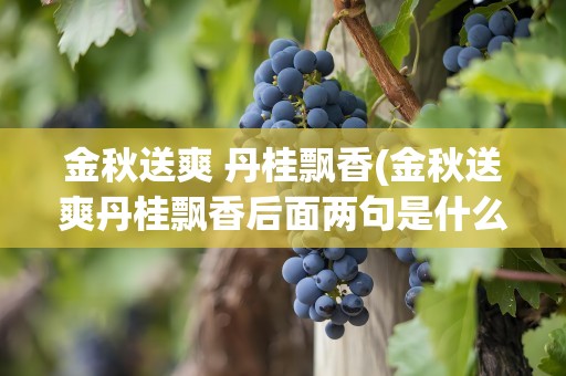 金秋送爽 丹桂飘香(金秋送爽丹桂飘香后面两句是什么)