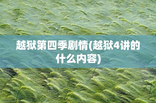 越狱第四季剧情(越狱4讲的什么内容)