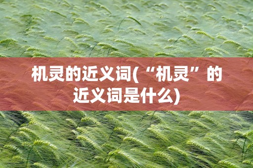 机灵的近义词(“机灵”的近义词是什么)