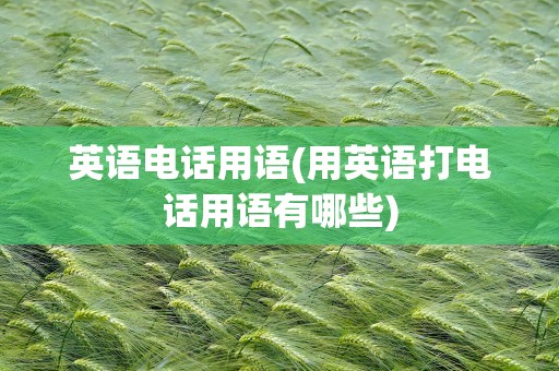 英语电话用语(用英语打电话用语有哪些)