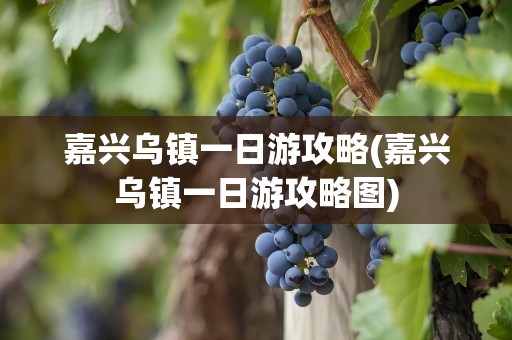 嘉兴乌镇一日游攻略(嘉兴乌镇一日游攻略图)