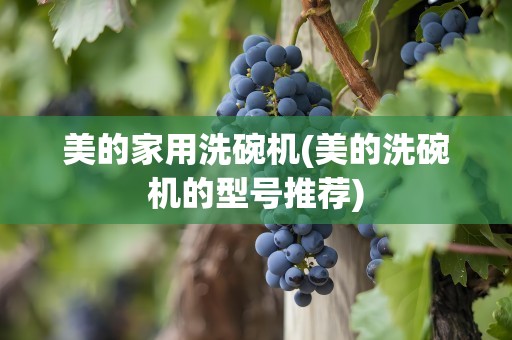 美的家用洗碗机(美的洗碗机的型号推荐)