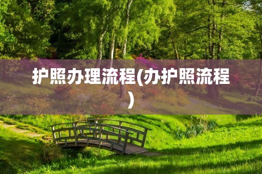 护照办理流程(办护照流程)