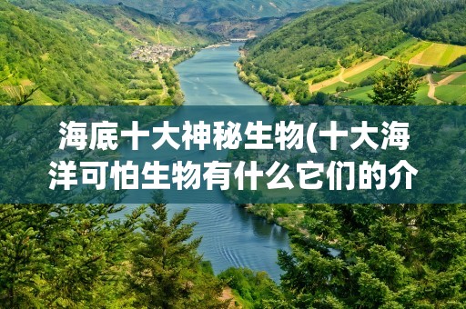 海底十大神秘生物(十大海洋可怕生物有什么它们的介绍有什么)