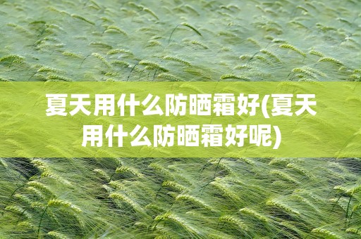 夏天用什么防晒霜好(夏天用什么防晒霜好呢)