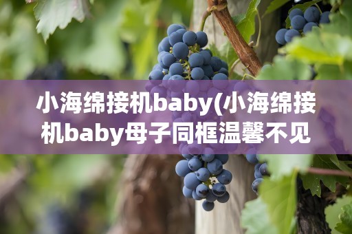小海绵接机baby(小海绵接机baby母子同框温馨不见了黄晓明)