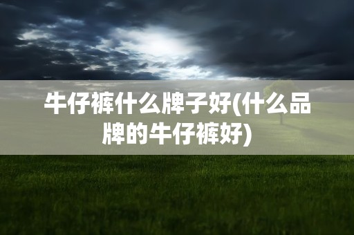 牛仔裤什么牌子好(什么品牌的牛仔裤好)