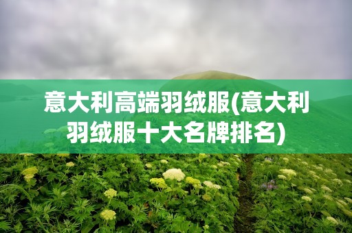 意大利高端羽绒服(意大利羽绒服十大名牌排名)