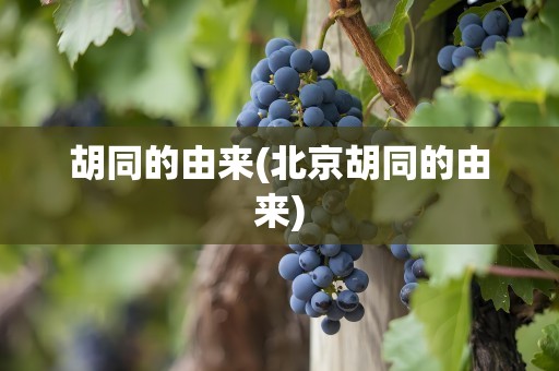 胡同的由来(北京胡同的由来)