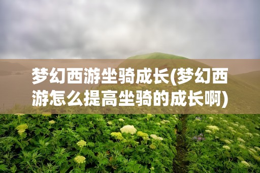 梦幻西游坐骑成长(梦幻西游怎么提高坐骑的成长啊)