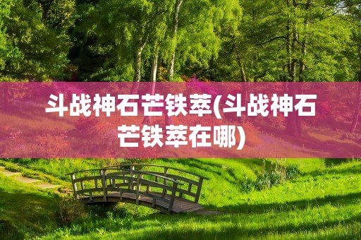 斗战神石芒铁萃(斗战神石芒铁萃在哪)